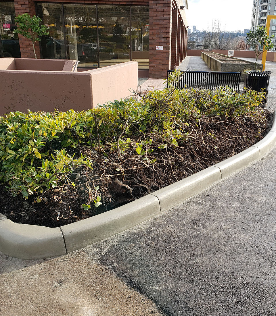 Concrete Curbing in Langley BC